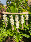 Maxi Wall Hanger straight